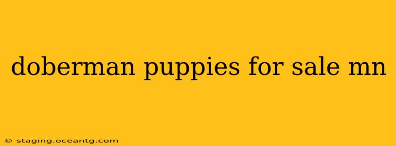 doberman puppies for sale mn