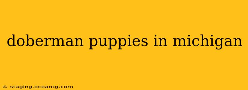 doberman puppies in michigan
