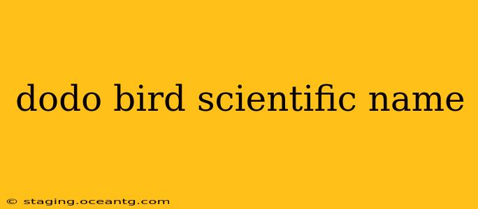 dodo bird scientific name