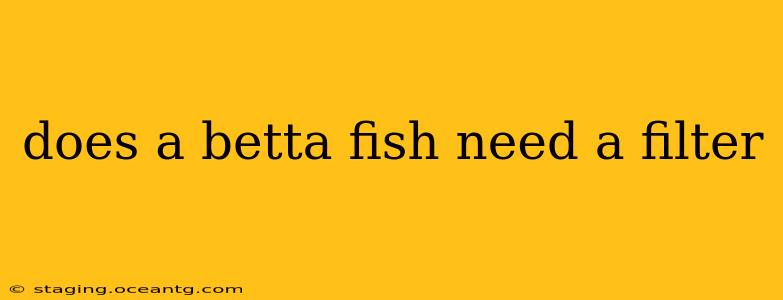 does a betta fish need a filter
