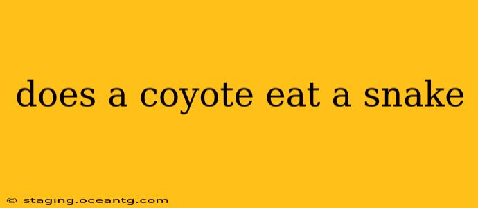 does a coyote eat a snake