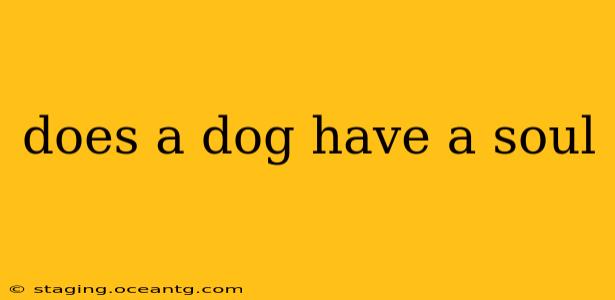 does a dog have a soul