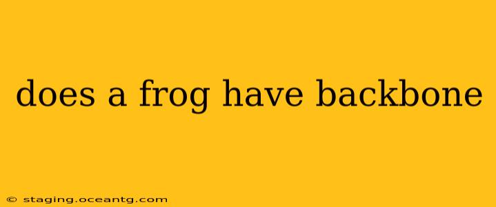 does a frog have backbone