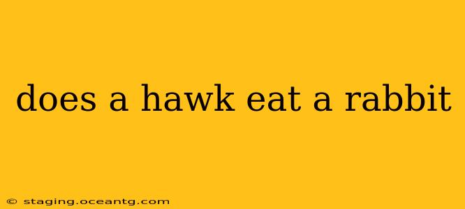 does a hawk eat a rabbit