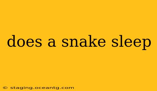does a snake sleep
