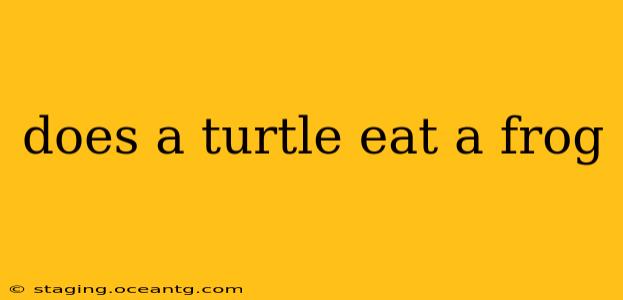 does a turtle eat a frog