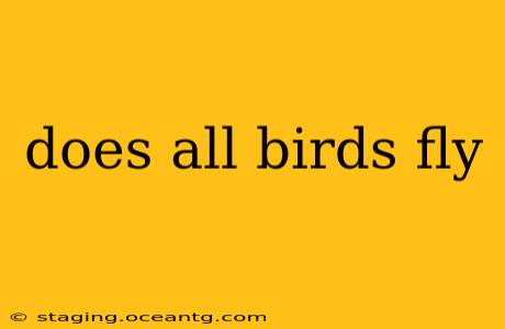 does all birds fly