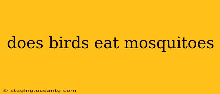 does birds eat mosquitoes