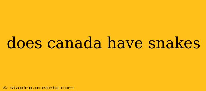 does canada have snakes