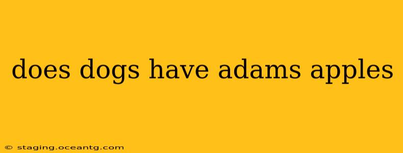 does dogs have adams apples