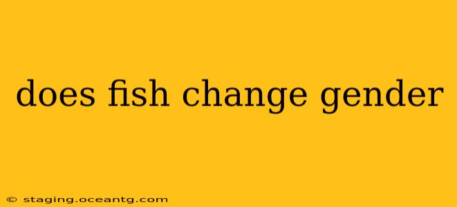 does fish change gender