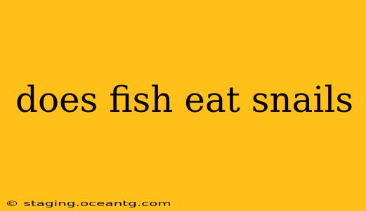 does fish eat snails