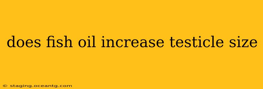 does fish oil increase testicle size