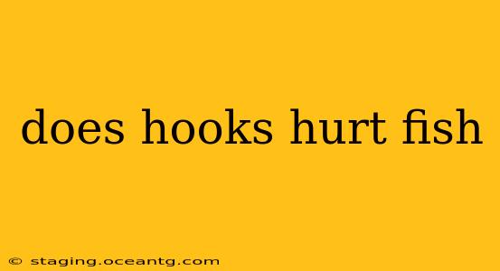 does hooks hurt fish