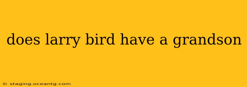 does larry bird have a grandson