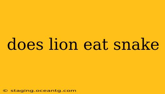 does lion eat snake
