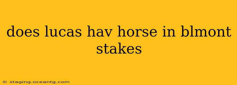 does lucas hav horse in blmont stakes