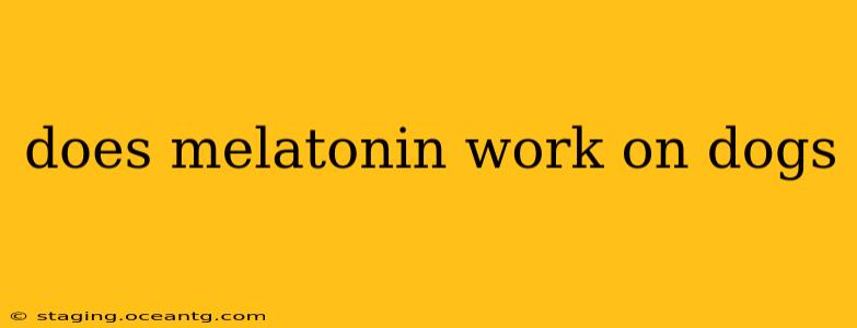 does melatonin work on dogs