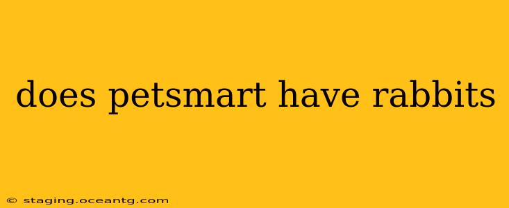 does petsmart have rabbits
