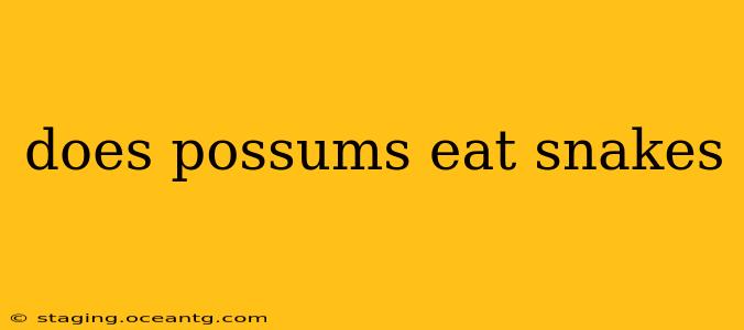does possums eat snakes