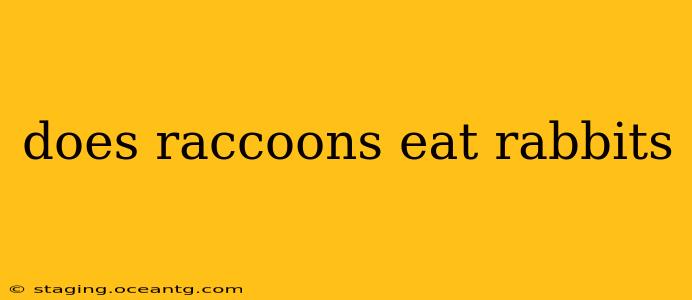 does raccoons eat rabbits