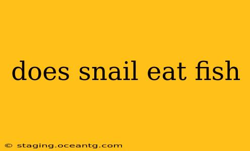 does snail eat fish