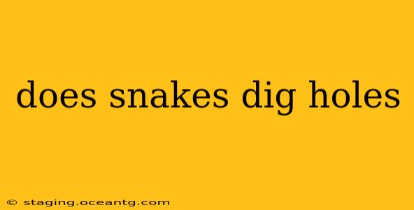 does snakes dig holes