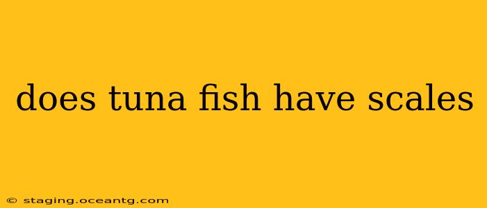 does tuna fish have scales