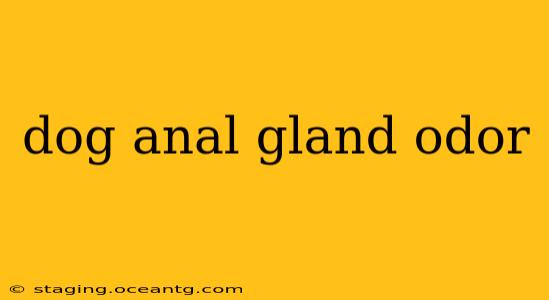 dog anal gland odor