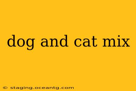 dog and cat mix