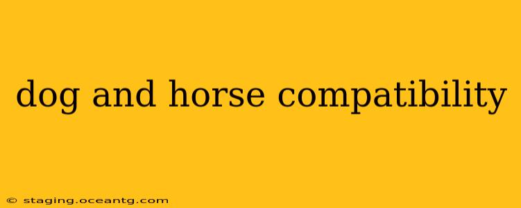 dog and horse compatibility