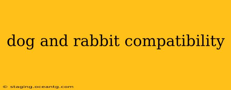 dog and rabbit compatibility