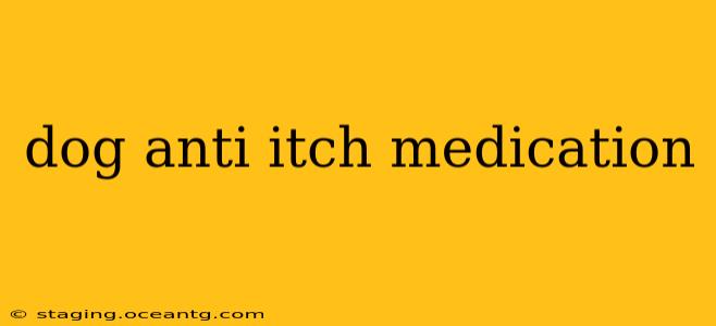 dog anti itch medication