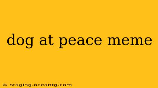 dog at peace meme