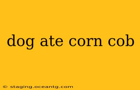 dog ate corn cob