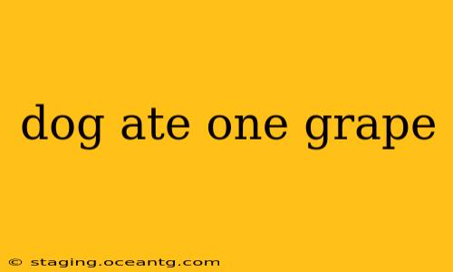 dog ate one grape
