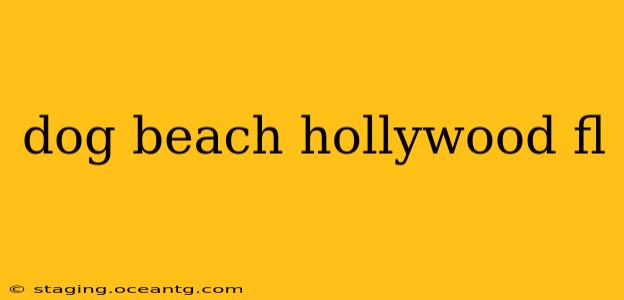 dog beach hollywood fl