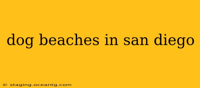 dog beaches in san diego