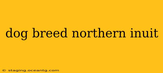 dog breed northern inuit