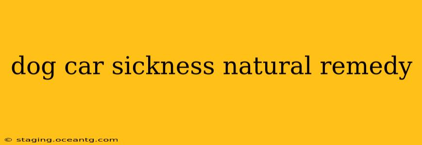 dog car sickness natural remedy