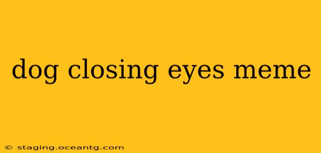 dog closing eyes meme