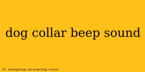 dog collar beep sound