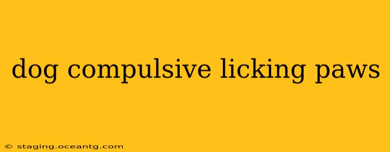 dog compulsive licking paws