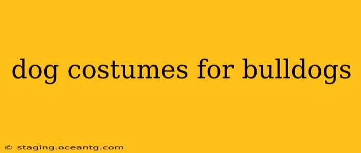 dog costumes for bulldogs
