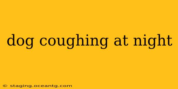 dog coughing at night
