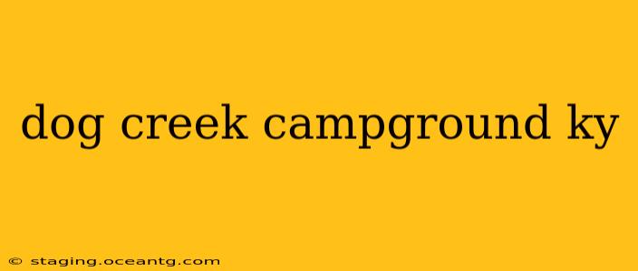 dog creek campground ky