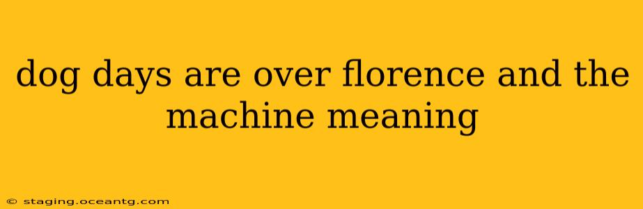dog days are over florence and the machine meaning