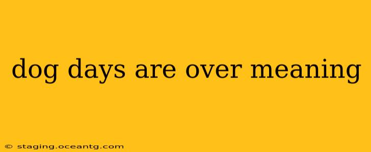 dog days are over meaning