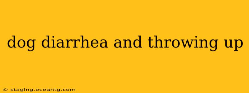 dog diarrhea and throwing up