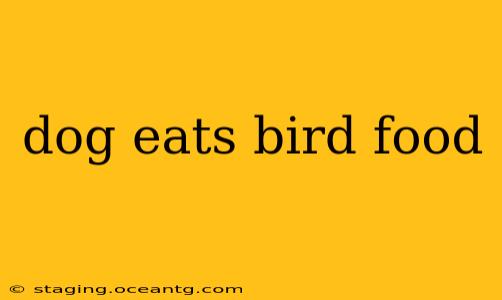 dog eats bird food